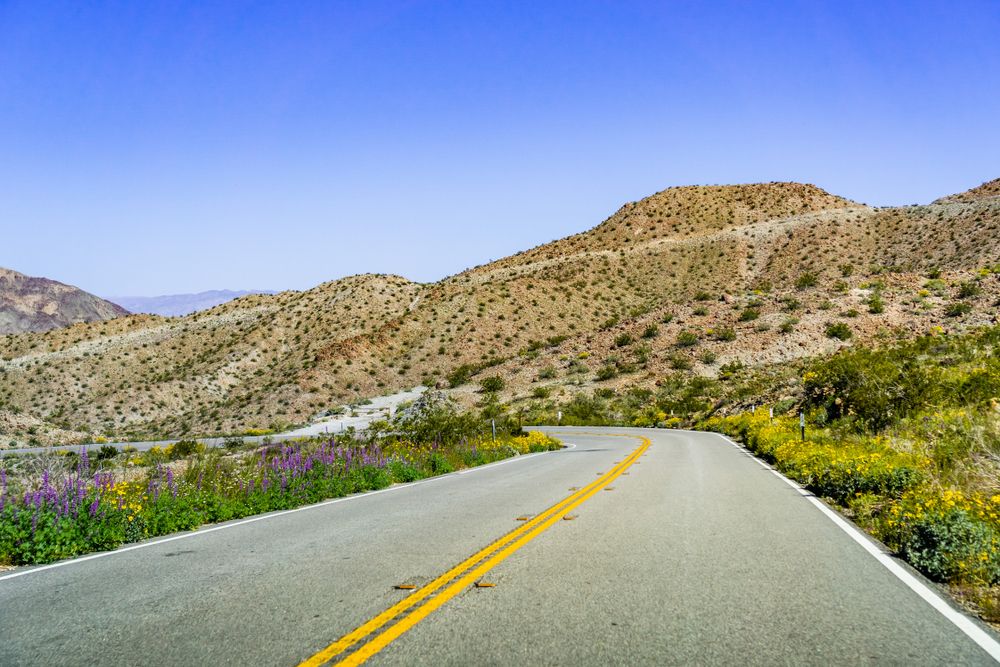 A road at Santa Rosa & San Jacinto Mountains National Monument