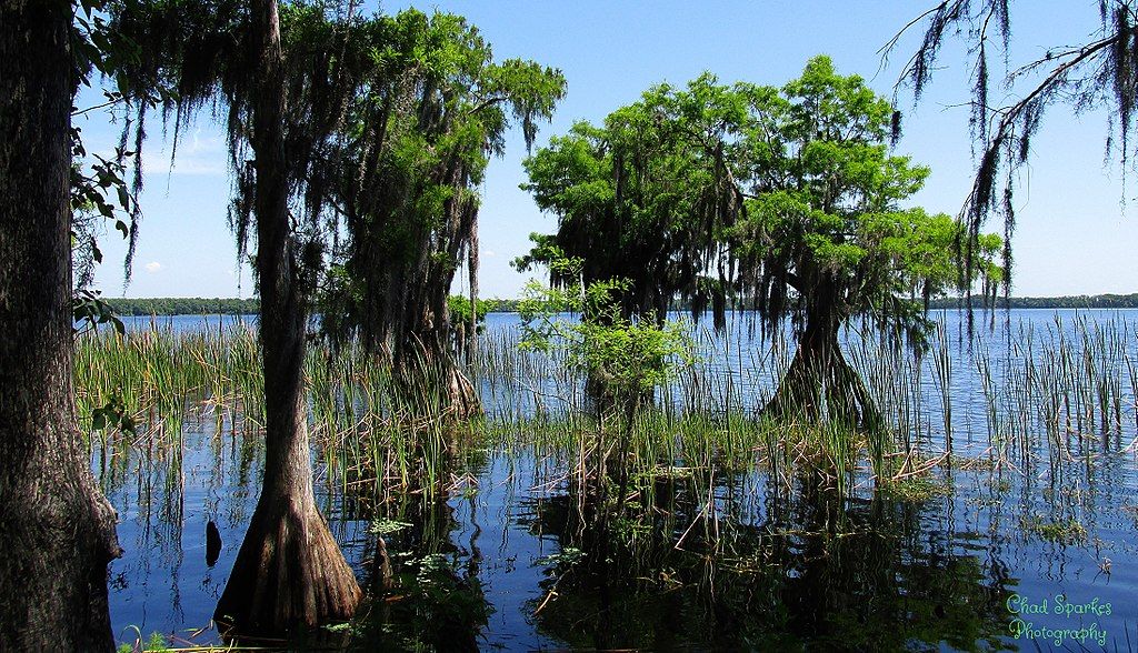 The waters of Lake Russell