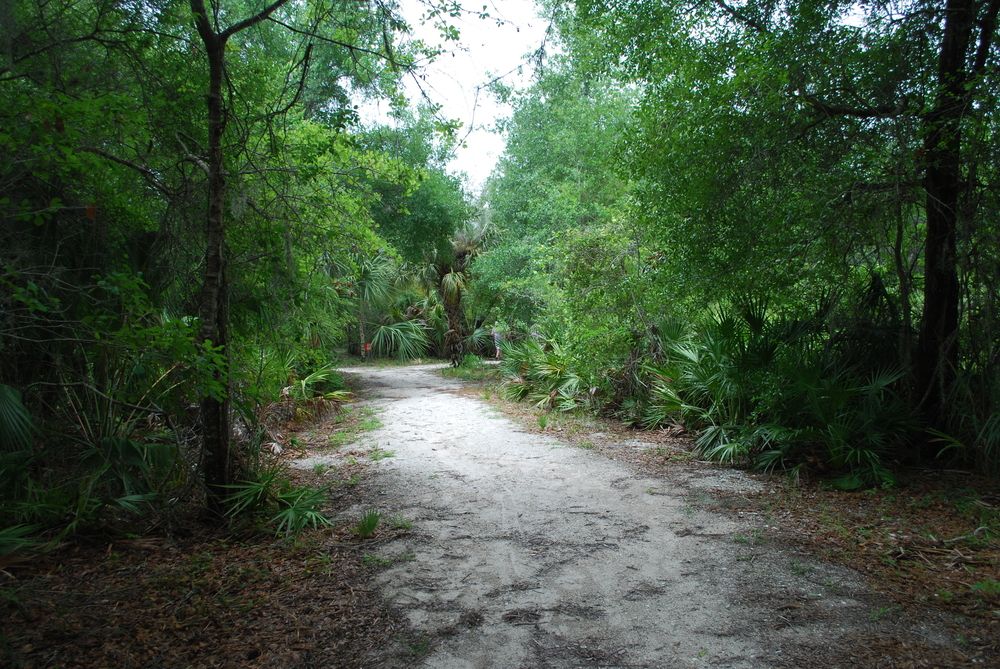 Trail at Rye Preserve