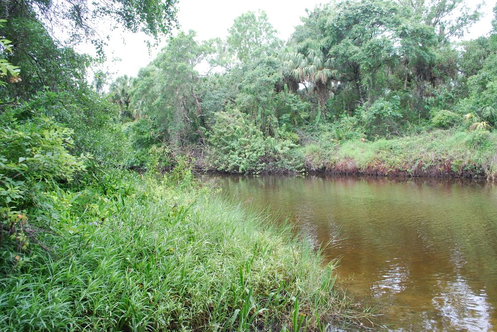The waters of Rye Preserve