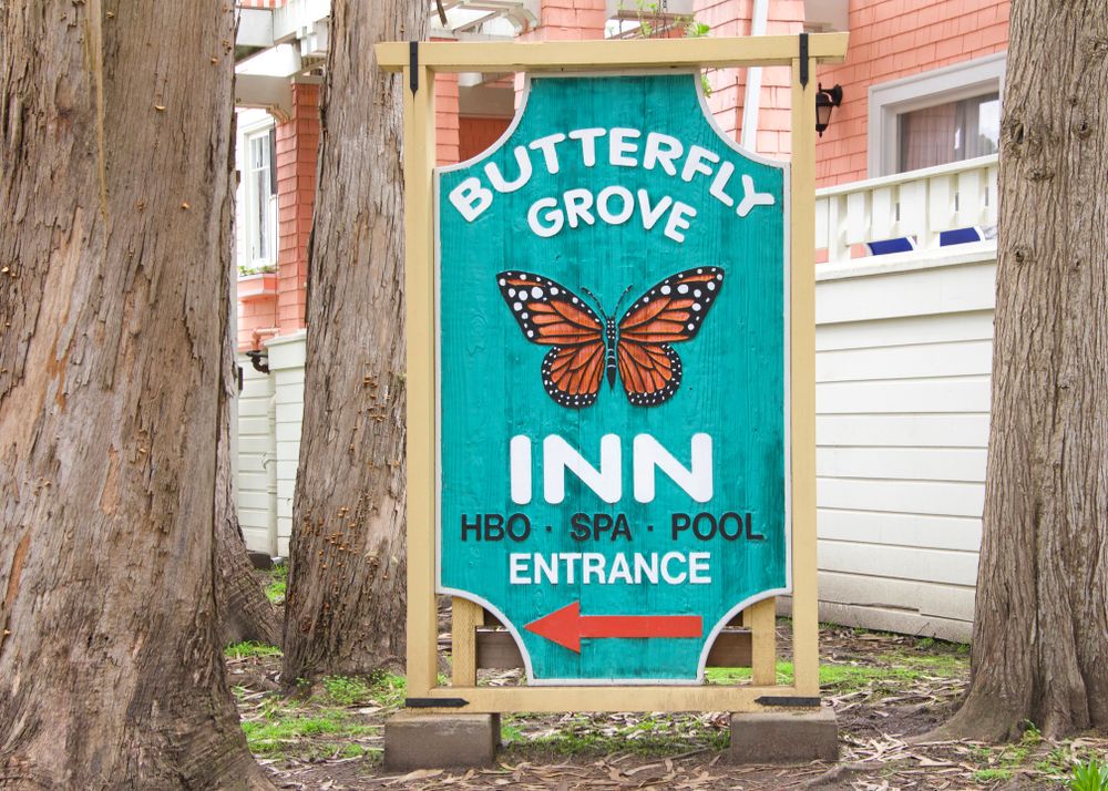 Welcome sign of the Butterfly Grove Inn