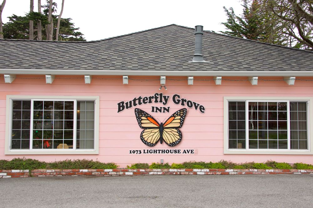 Exterior of the Butterfly Grove Inn