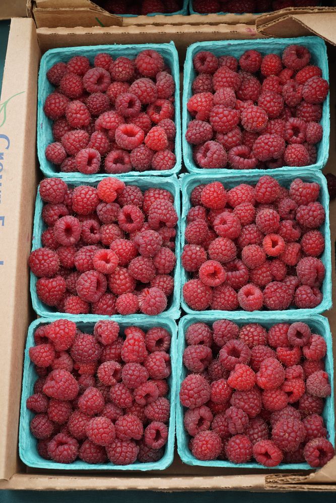 Fresh berries at the Farmers' market