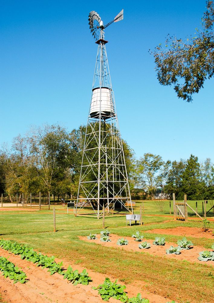 A windmill at Jimmy Carter Boyhood Farm