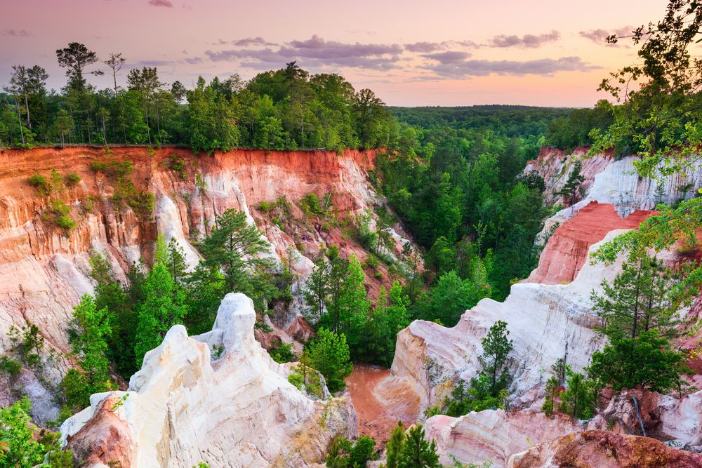 Scenic view of Providence Canyon
