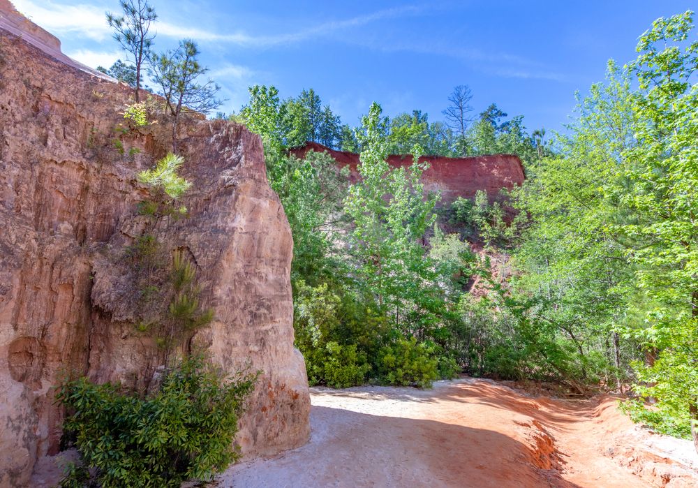 Hiking trail at Providence Canyon