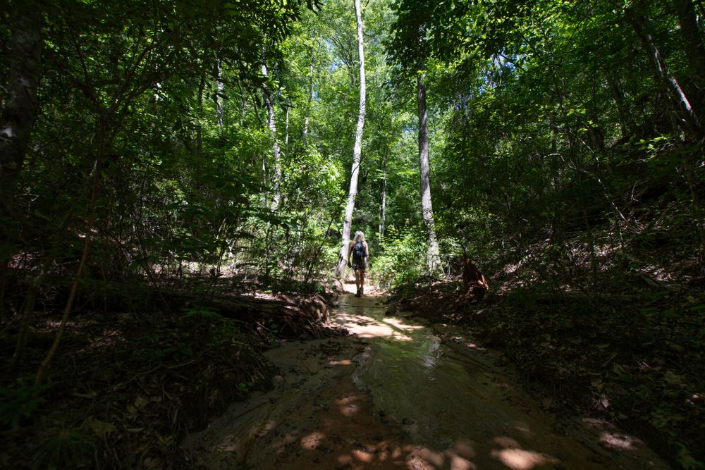 A hiker walking along a trail at Providence Canyon
