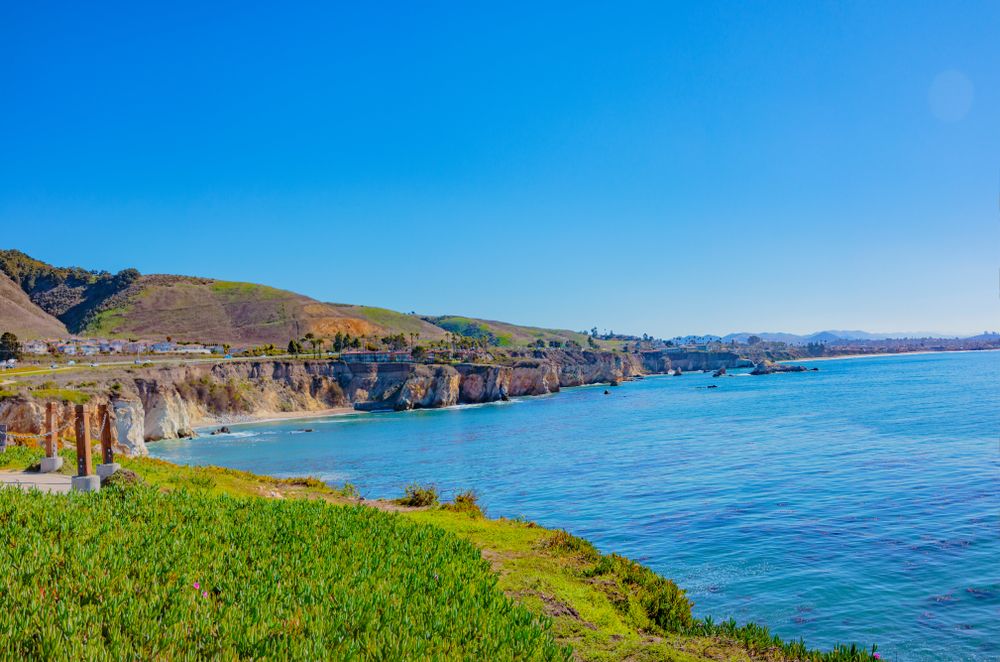 View of Margo Dodd Park