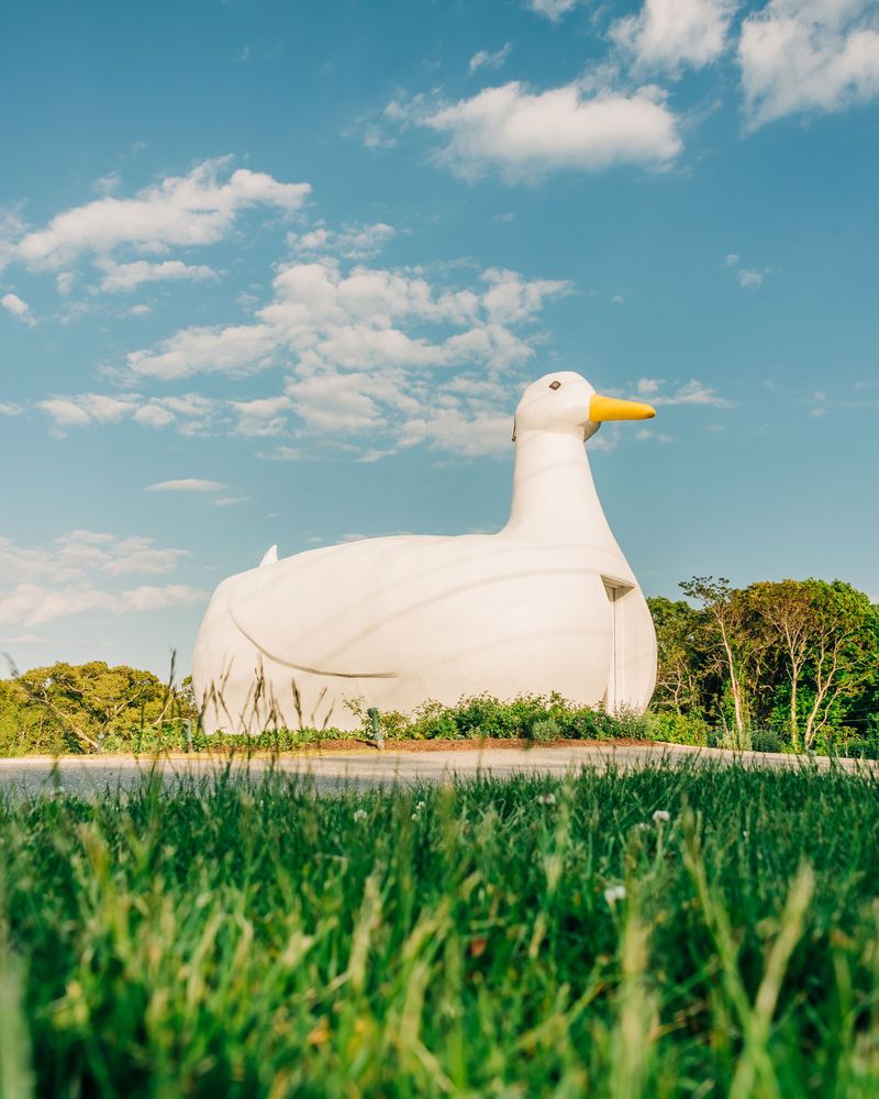 View of The Big Duck