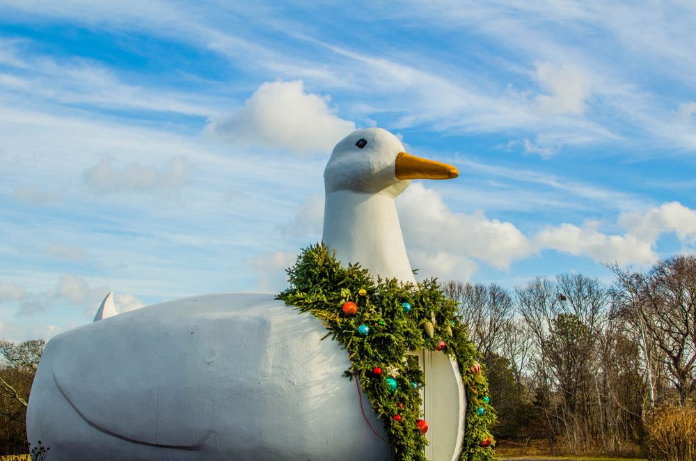 View of The Big Duck