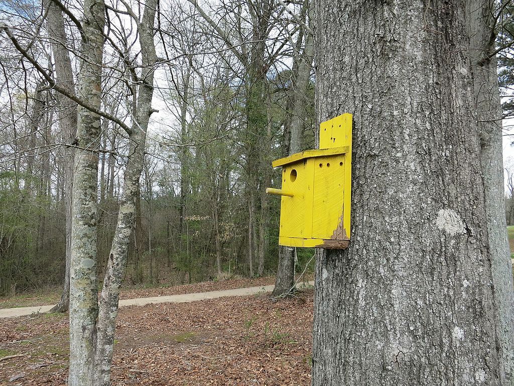 A birdhouse on a tree at Northside Park