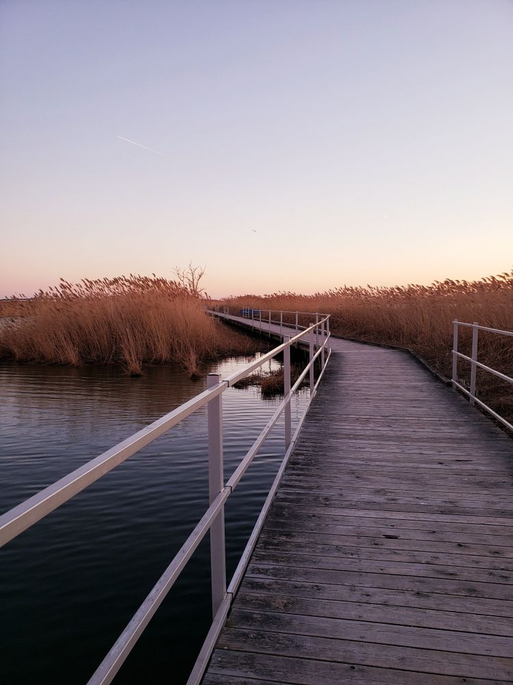 Trail at Richard W. DeKorte Park