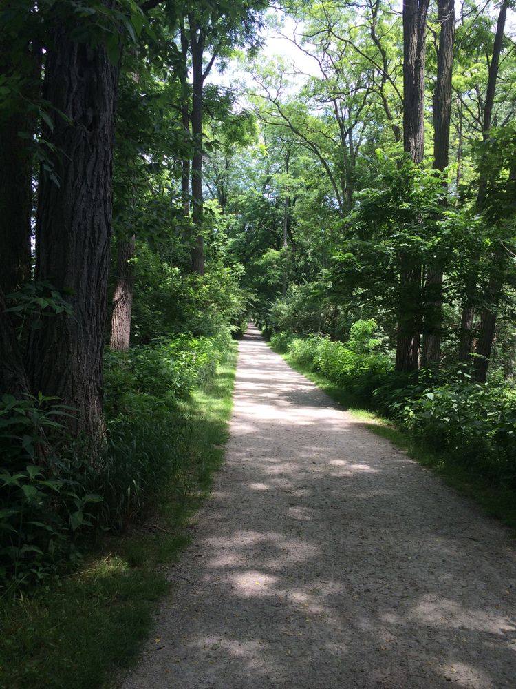 Nature trail at Side Cut Metropark