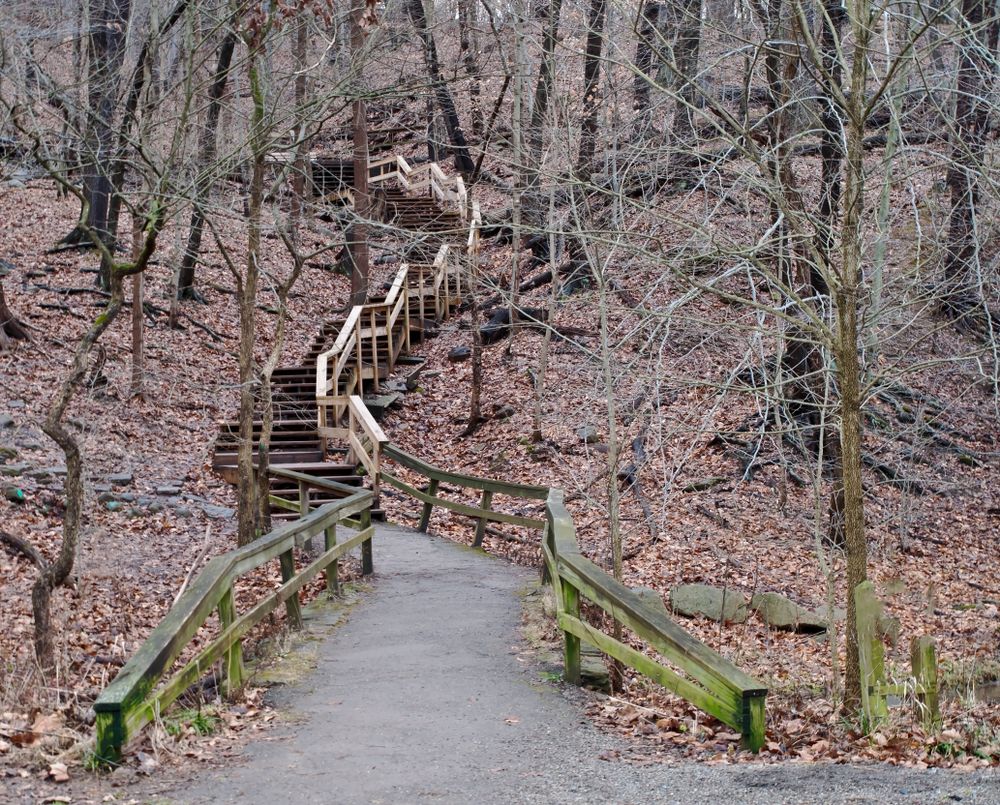 A pathway at Frick Park