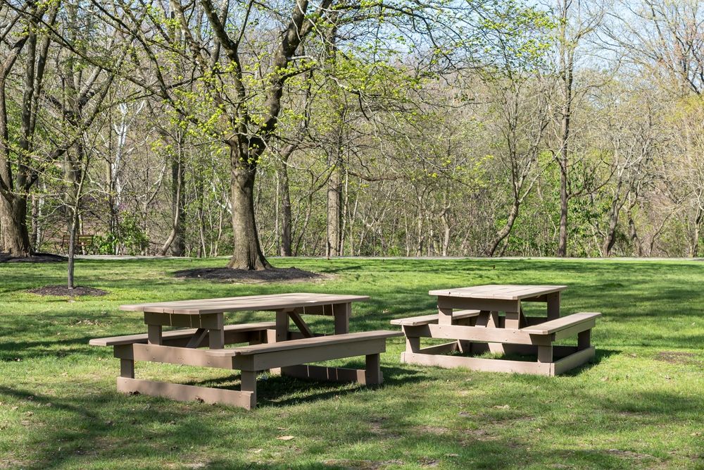 Picnic tables on the grounds of Frick Park