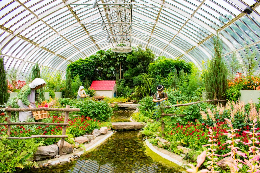 Plants in the Phipps Conservatory and Botanical Gardens glass house
