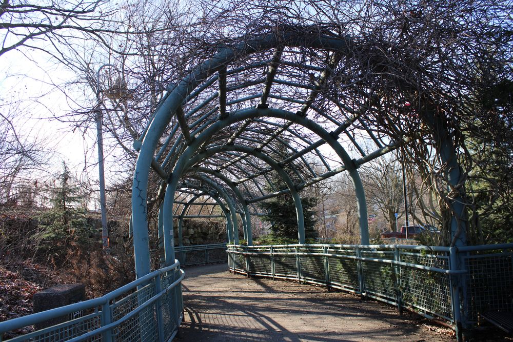 Pathway at West End Overlook Park