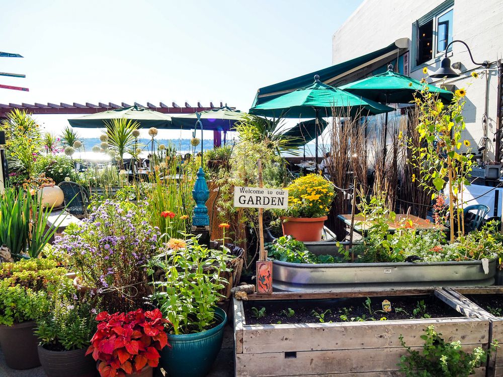 Daytime view of Pike Place Urban Garden