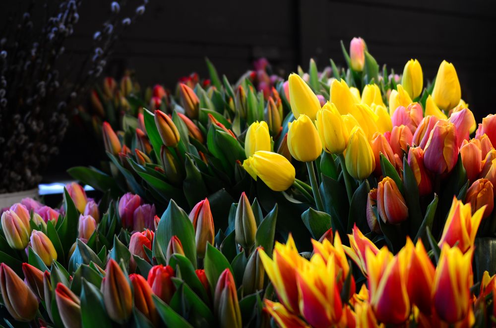 Colorful tulips at Pike Place Market