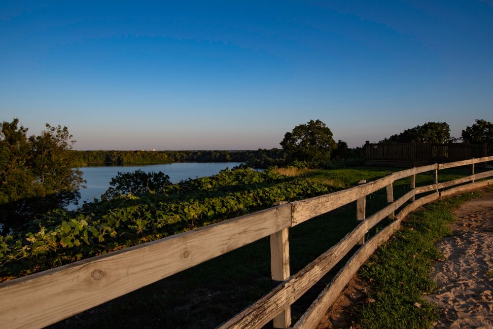 Wooden fence near Cooters Pond