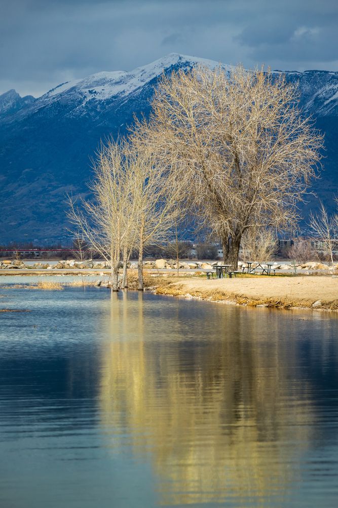 Trees reflecting on Utah lake at Utah Lake State Park