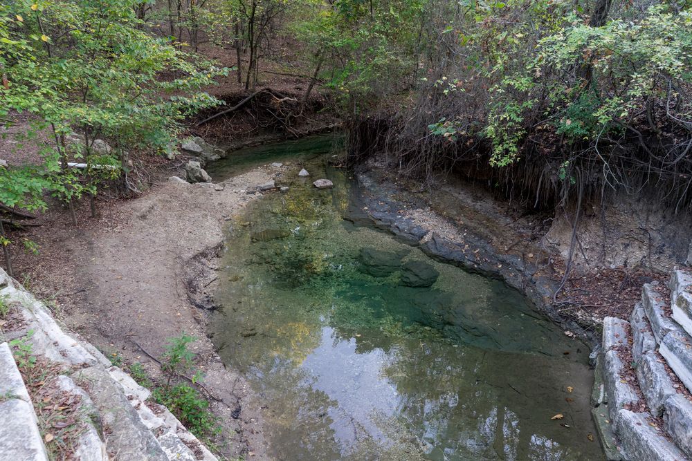 A creek at Arbor Hills Nature Preserve