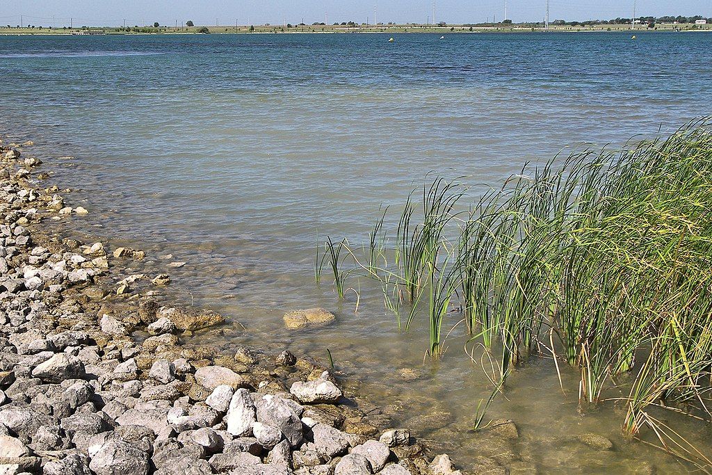 The waters of Lake Pflugerville