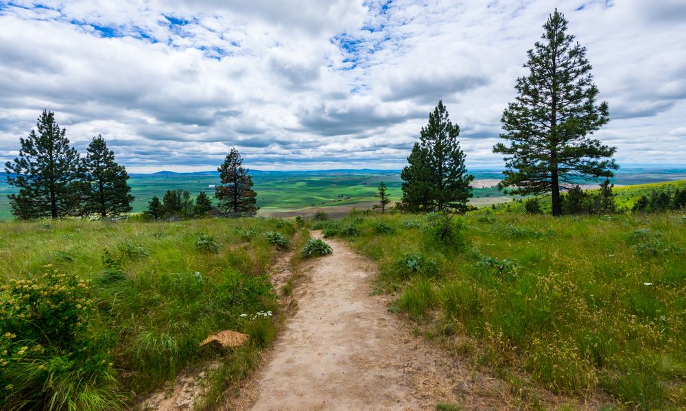 Hiking trail at Kamiak Butte County Park