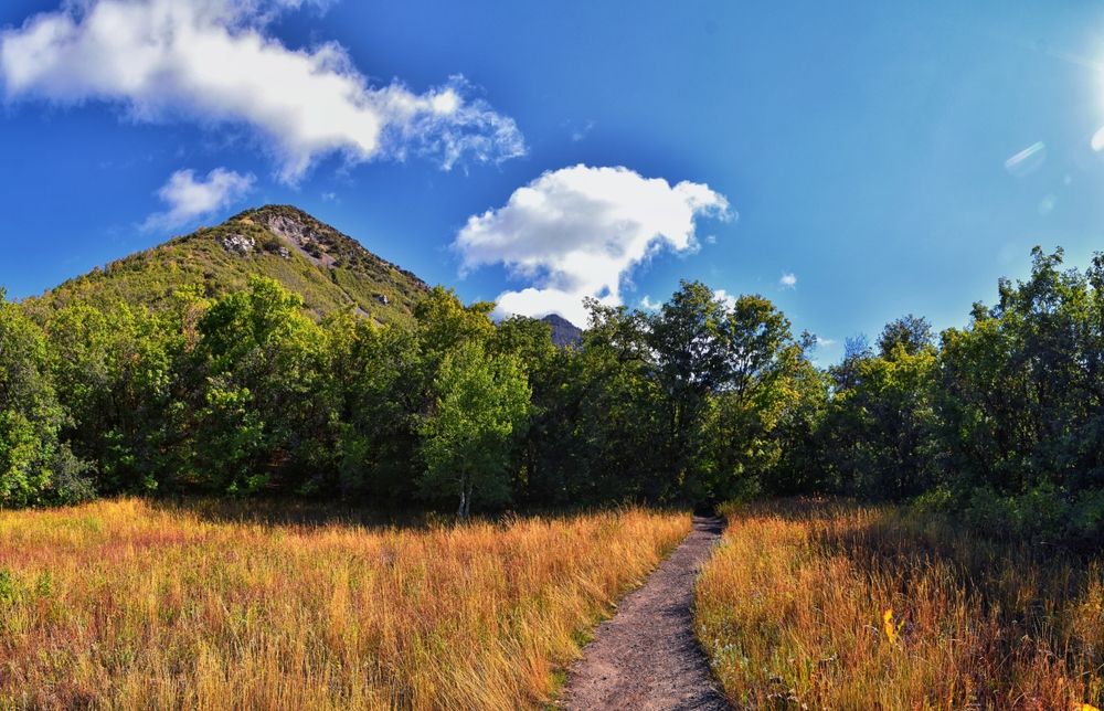 Hiking trail at Kyhv Peak