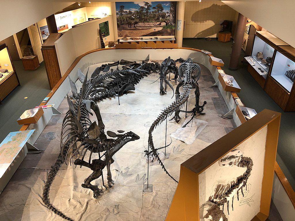 Dinosaur pit in Prehistoric Museum of the Utah State University Eastern