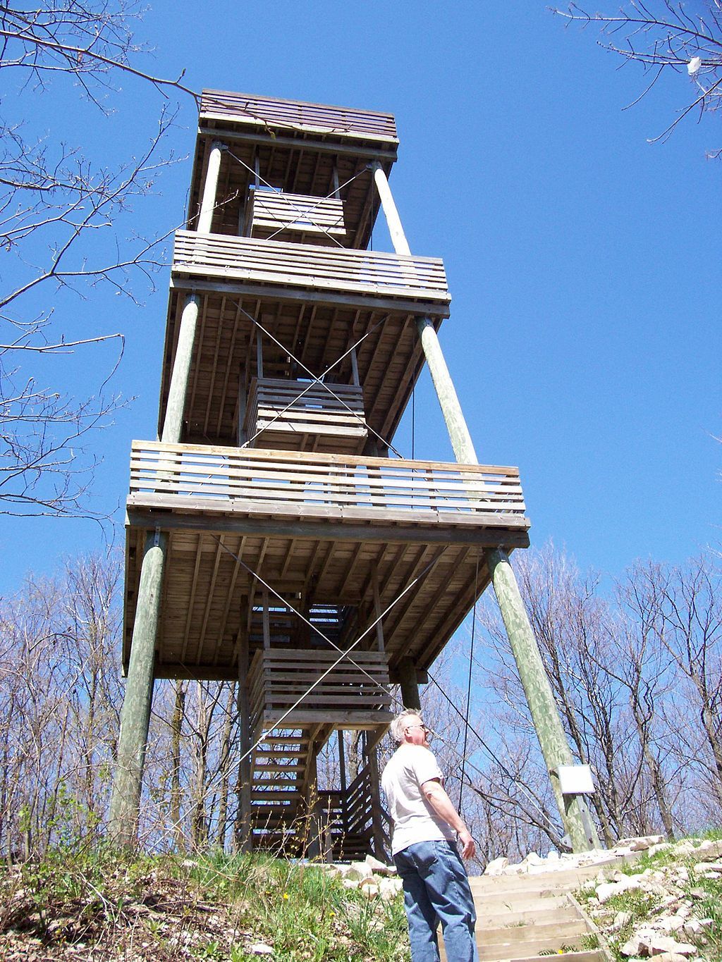 Exterior of Parnell Tower
