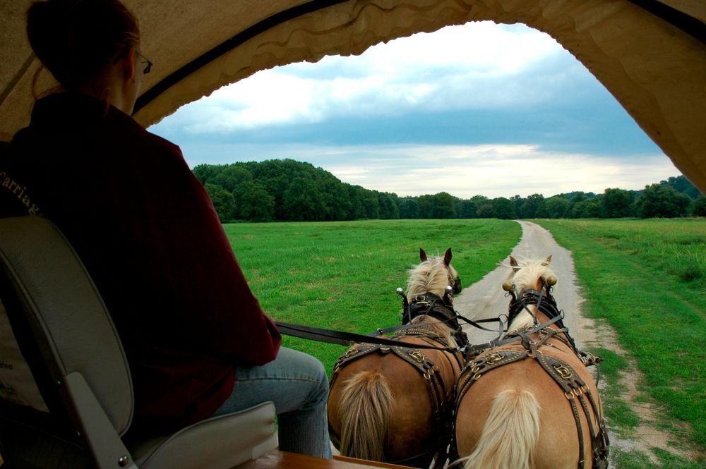 Horse carriage tour at Blennerhassett Island Historical State Park