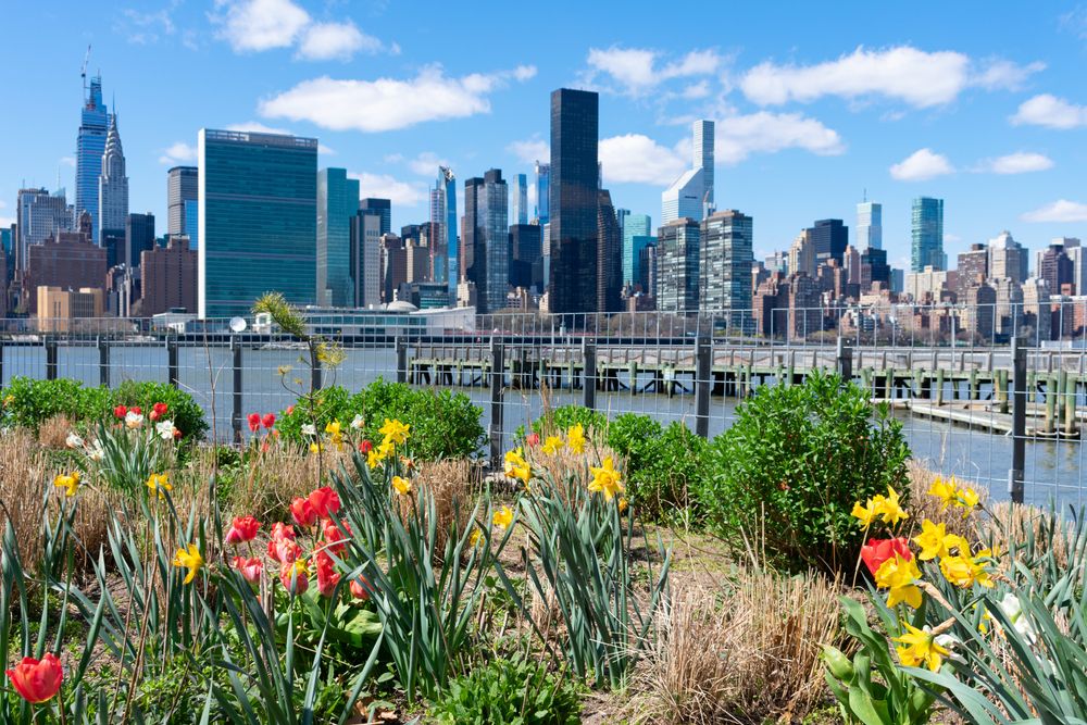 Flowers at Gantry Plaza State Park