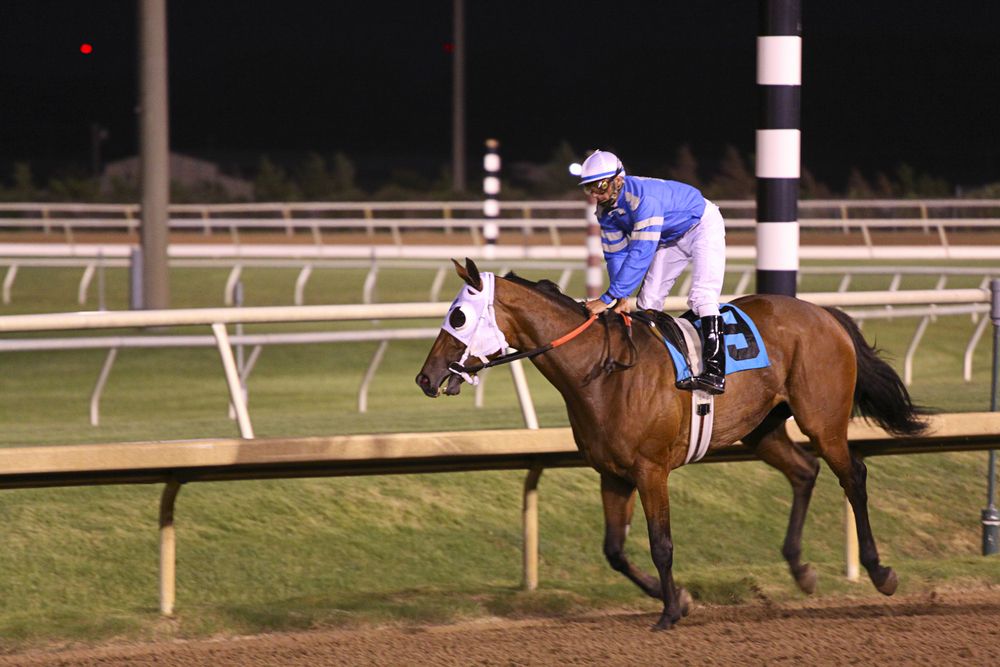 Horses at Lone Star Park