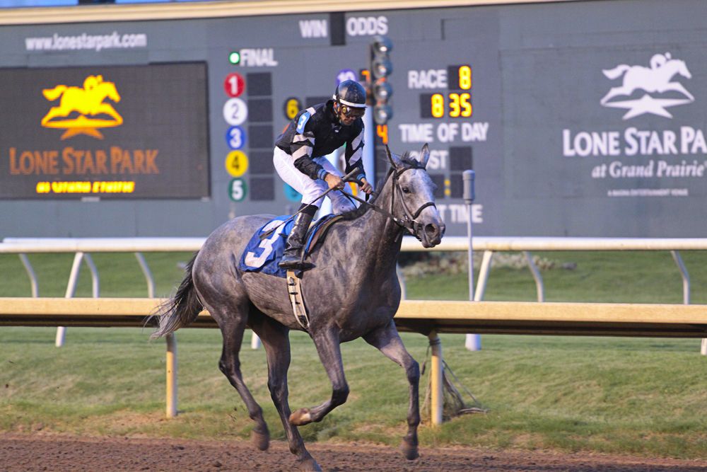 Horses at Lone Star Park