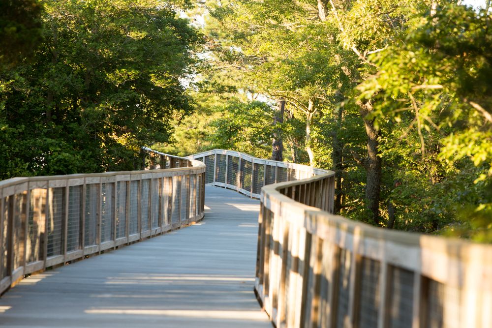 Boardwalk at Gordons Pond