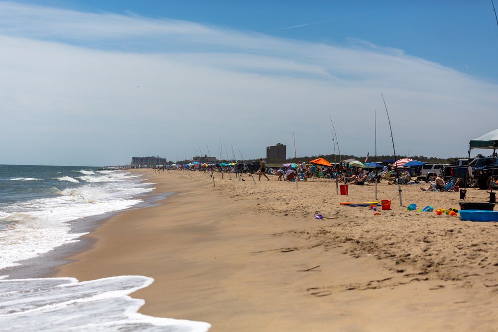 The beach of Gordons Pond
