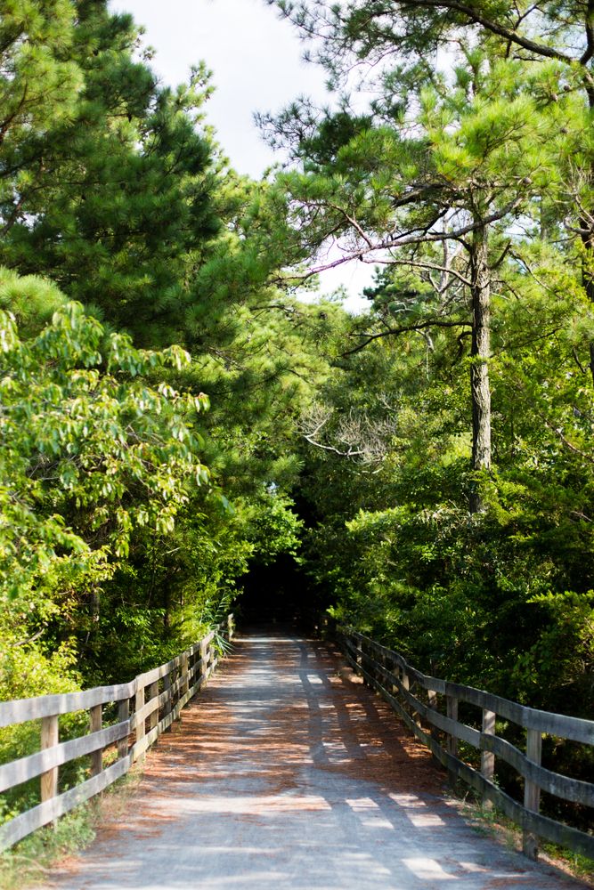 Bike path at Junction and Breakwater Trail