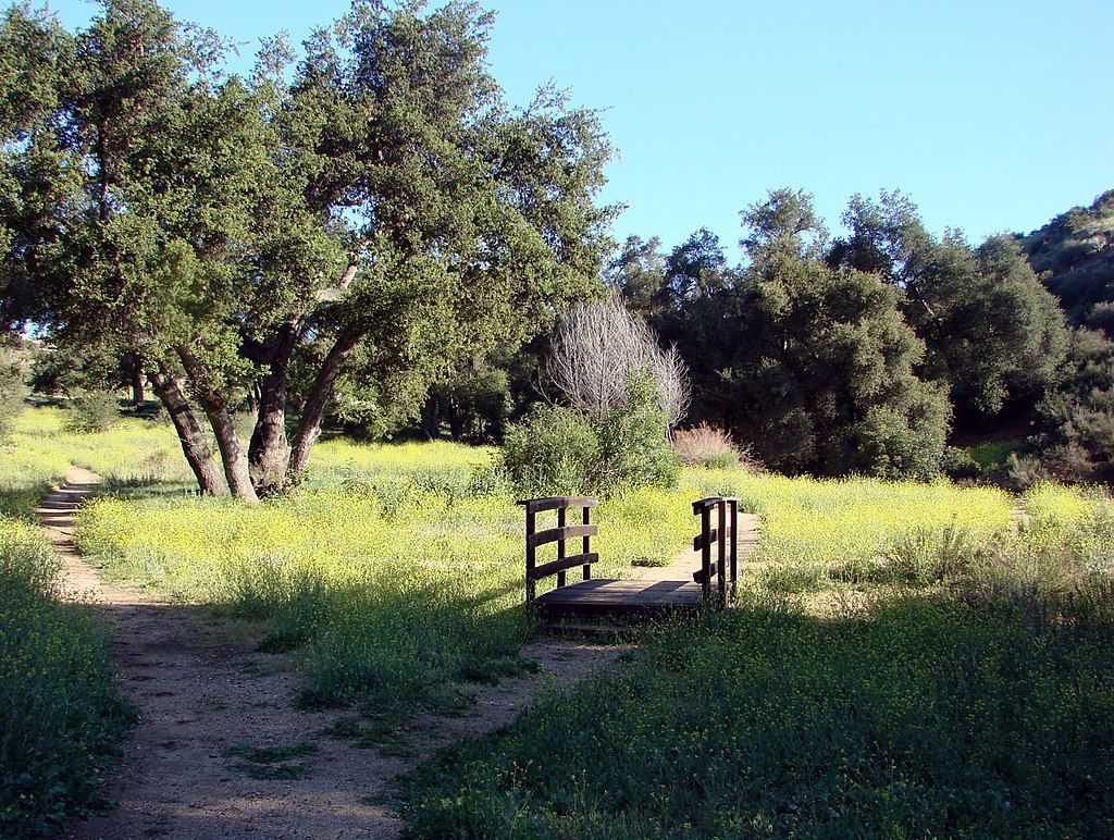 A short footbridge at Oakmont Park