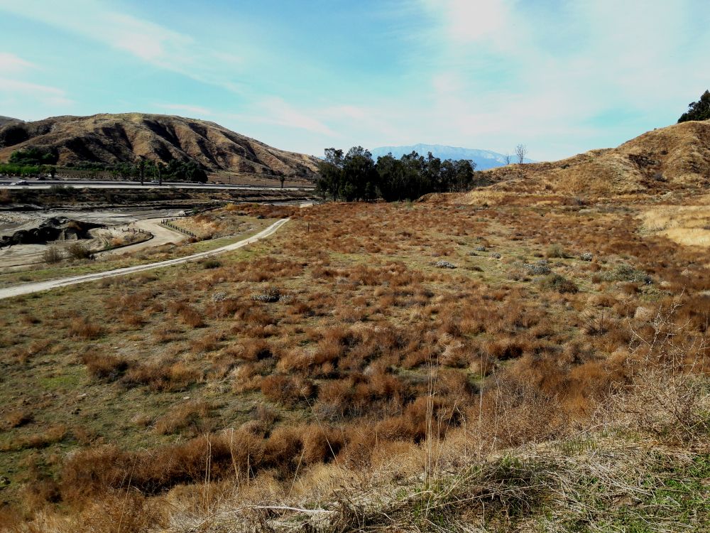 Landscape of San Timoteo Canyon Nature Sanctuary