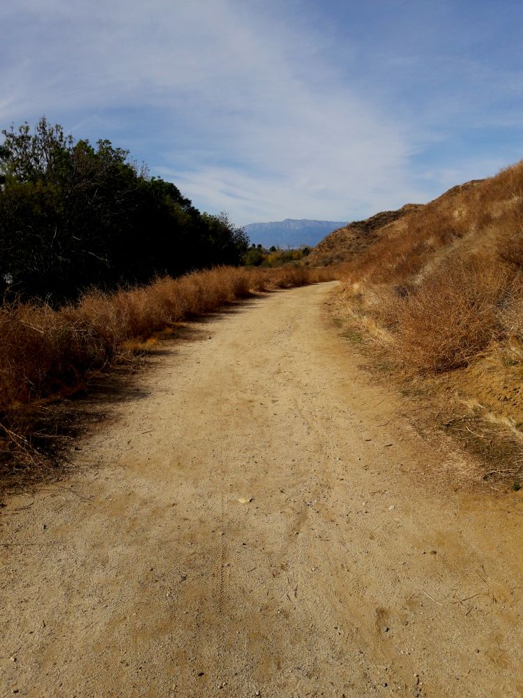 Hiking trail at San Timoteo Canyon Nature Sanctuary