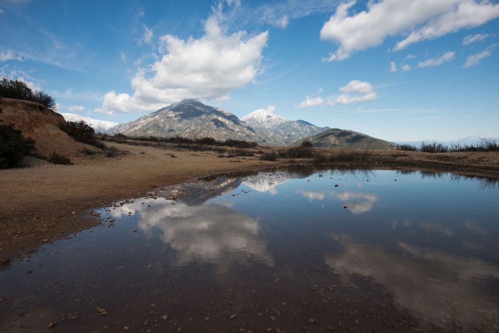 Water Puddle on Mount San Antonio