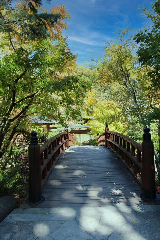 A footbridge at Anderson Japanese Gardens