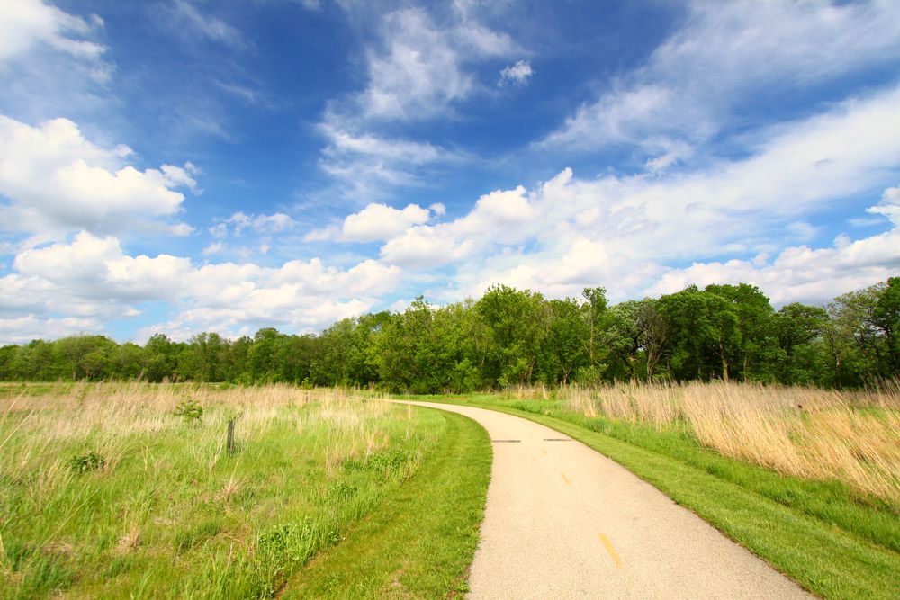 Trail at Blackhawk Springs Forest Preserve