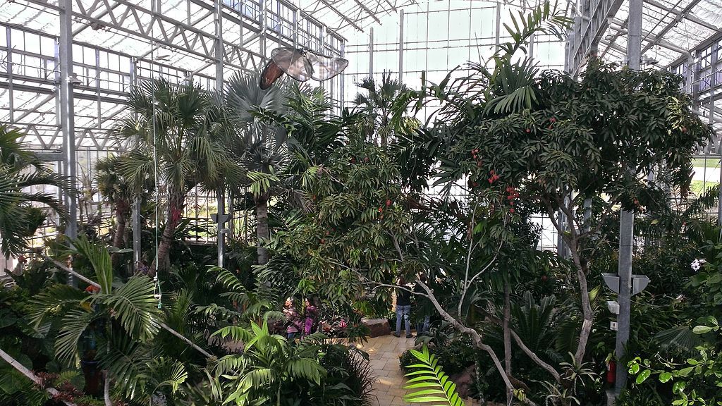 Interior of Nicholas Conservatory & Gardens