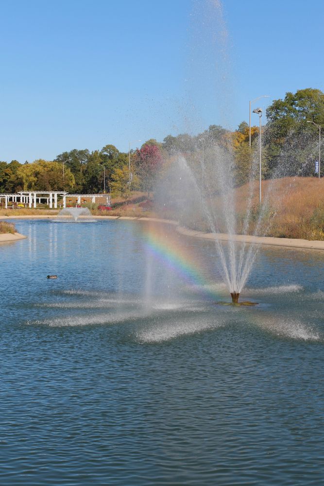 A water fountain at Sinnissippi Park's pond