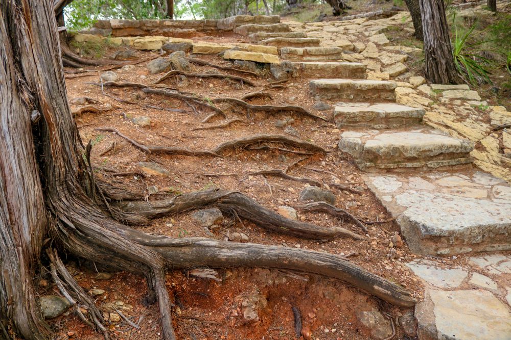 Limestone steps at Pedernales Falls State Park trail
