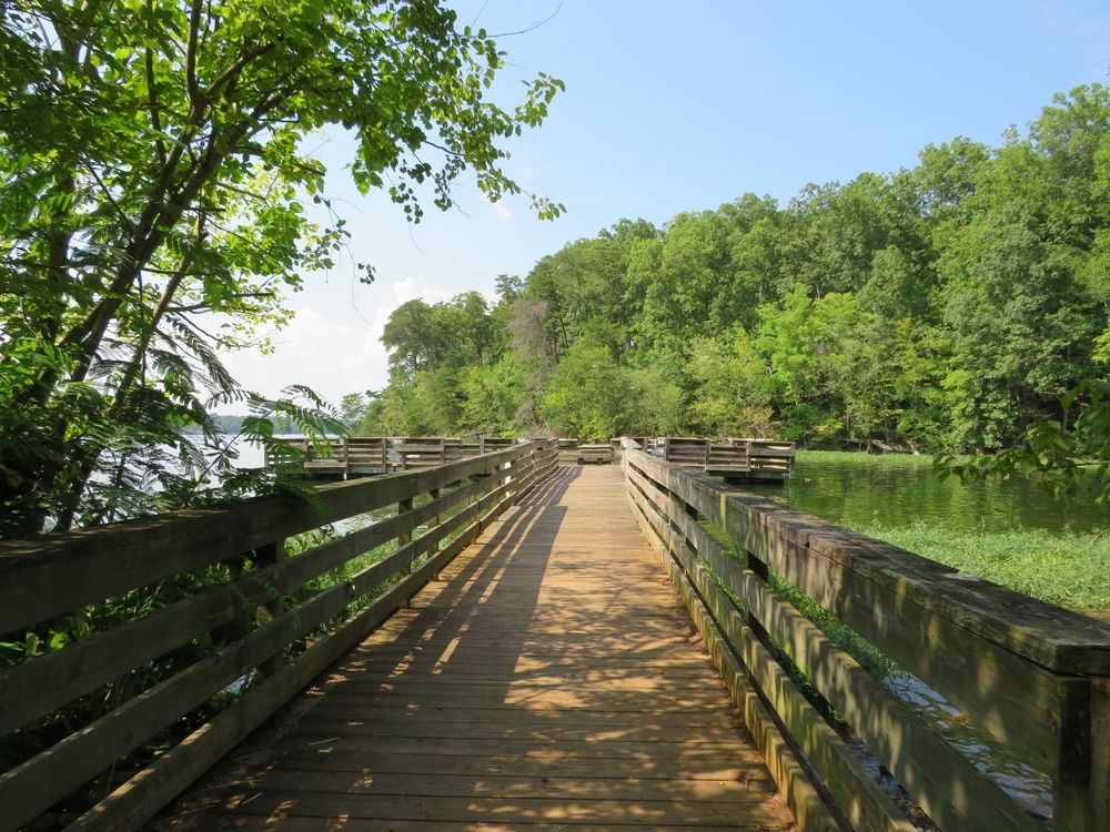 Boardwalk at Uwharrie National Forest