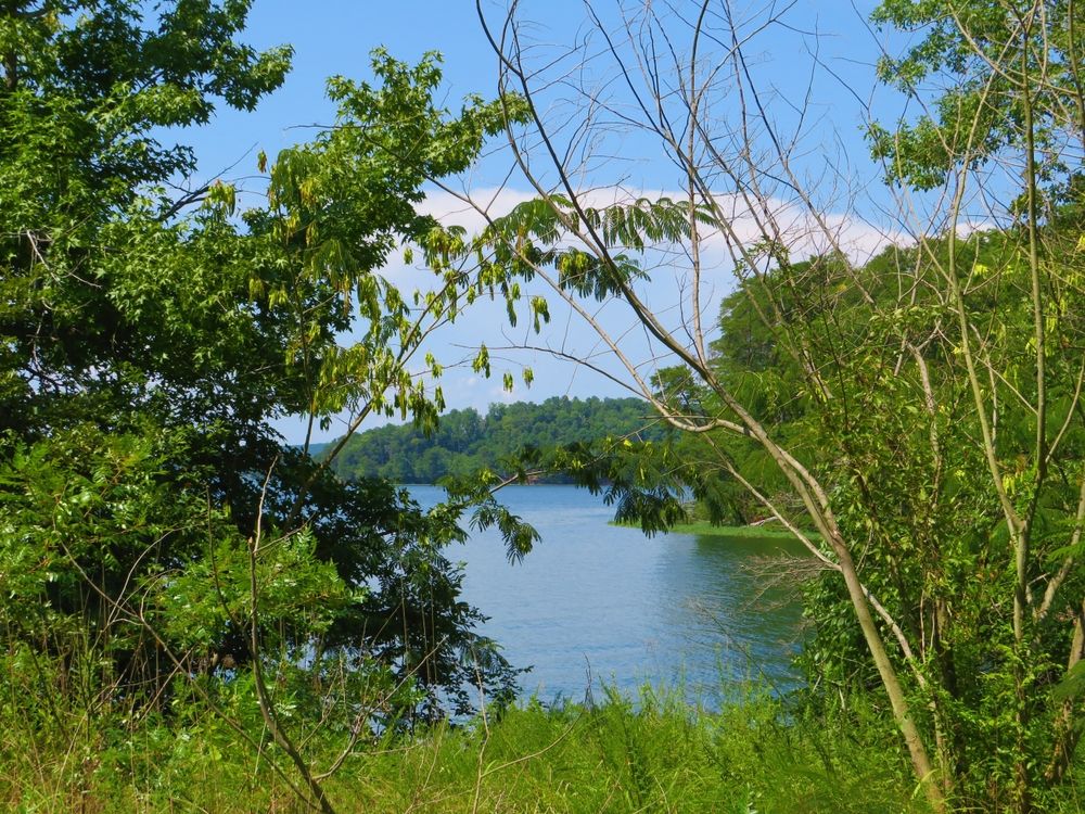 The waters of Uwharrie National Forest