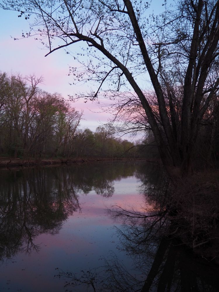 View of Bles Park, Ashburn, virginia